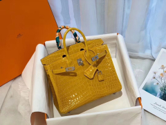 HERMES 9D琥珀黄-Jaune Amber nilo两点 尼罗鳄 银扣 birkin 25 发财土豪黄[偷笑]但一点都不俗哦 巨美呀